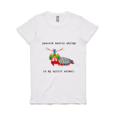 Peacock Mantis Shrimp Thumbnail