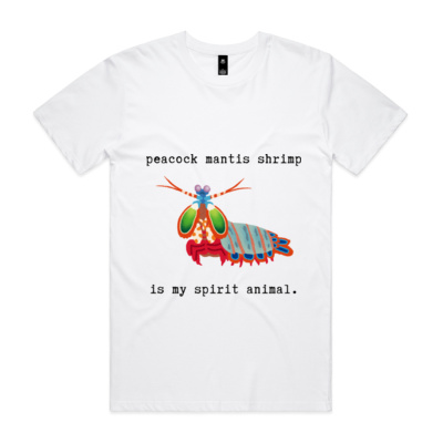 Peacock Mantis Shrimp Thumbnail